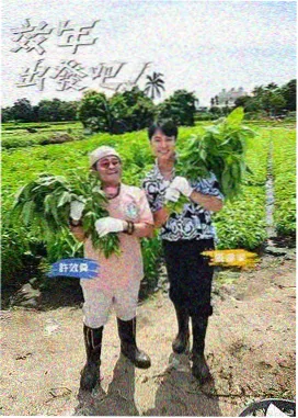 公路迁徙影片图鉴封面